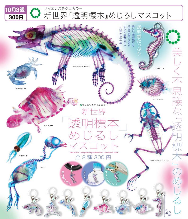 300円カプセル サイエンステクニカラー 新世界 透明標本 めじるしマスコット (Science Techni Colour New World Trasparent Specimens Mark Mascot)