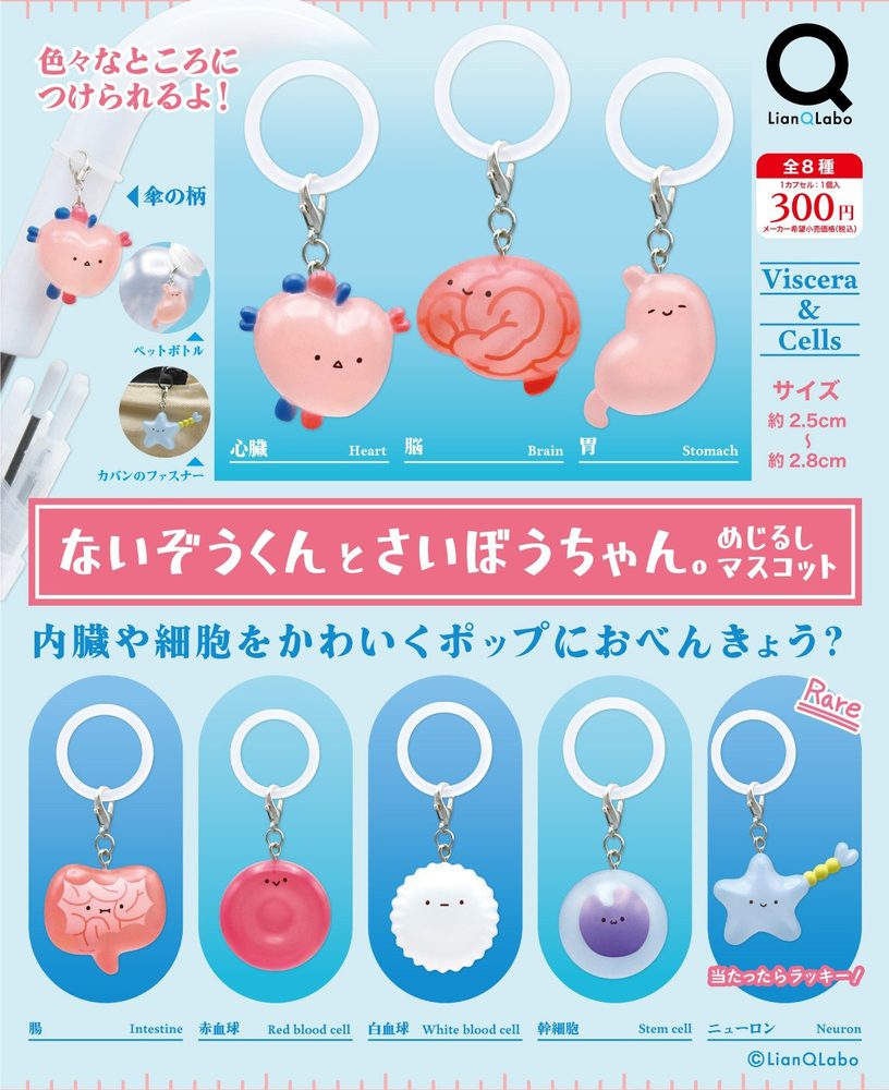 300円カプセル ないぞうくんとさいぼうちゃん。めじるしマスコット (Naizou-kun to Saibou-chan. Mark Mascot)