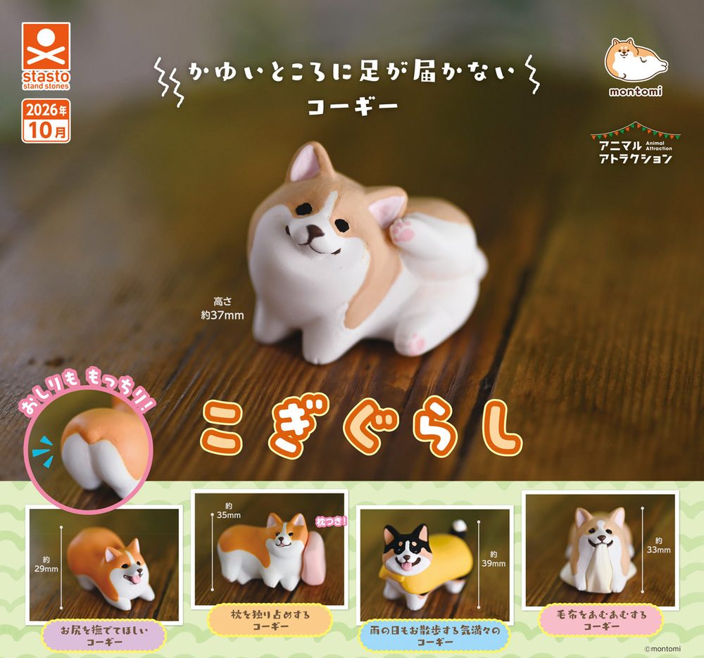 300円カプセル アニマルアトラクション こぎぐらし (Animal Attraction Corgi Gurashi)