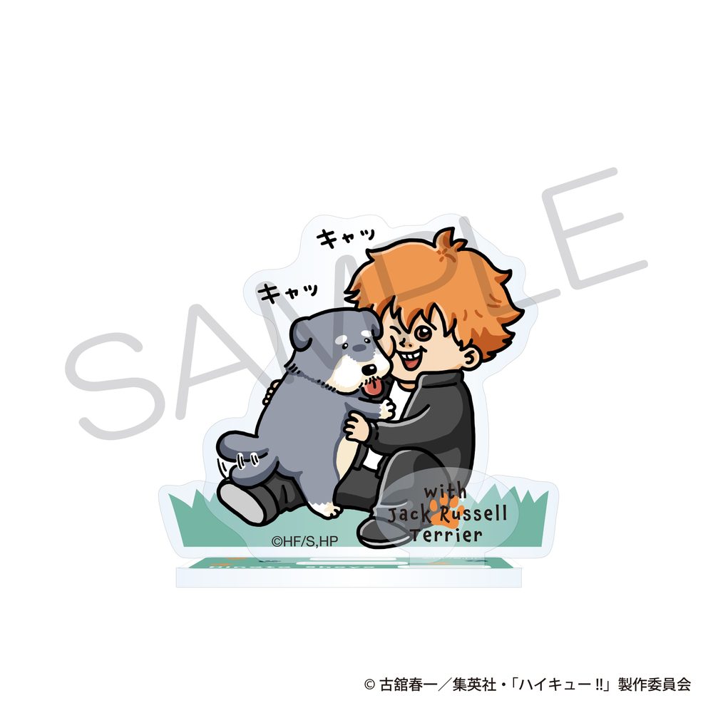 ハイキュー!! アクリルスタンド 動物と一緒Ver. 日向翔陽 ("Haikyu!!" Acrylic Stand with Animals Ver. Hinata Shoyo)