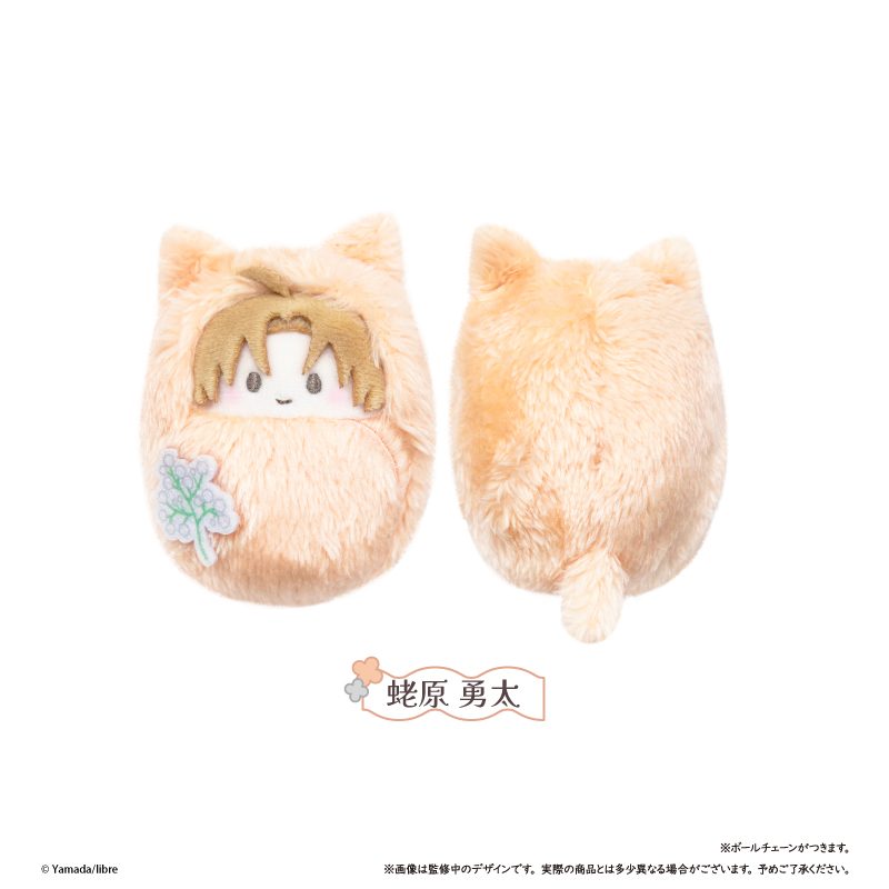 鯛代くん、君ってやつは。 くるみたぴぬい 蛯原勇太 ("Tashiro-kun, Kimitte Yatsuwa." Kurumi Tapi-nui Plush Ebihara Yuta)