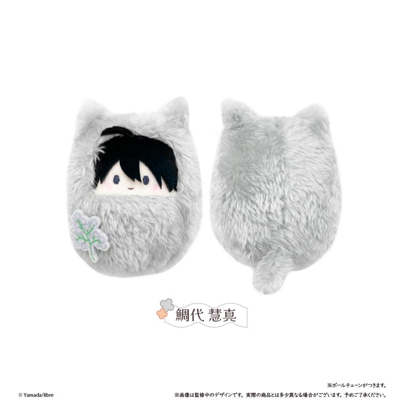 鯛代くん、君ってやつは。 くるみたぴぬい 鯛代慧真 ("Tashiro-kun, Kimitte Yatsuwa." Kurumi Tapi-nui Plush Tashiro Keima)