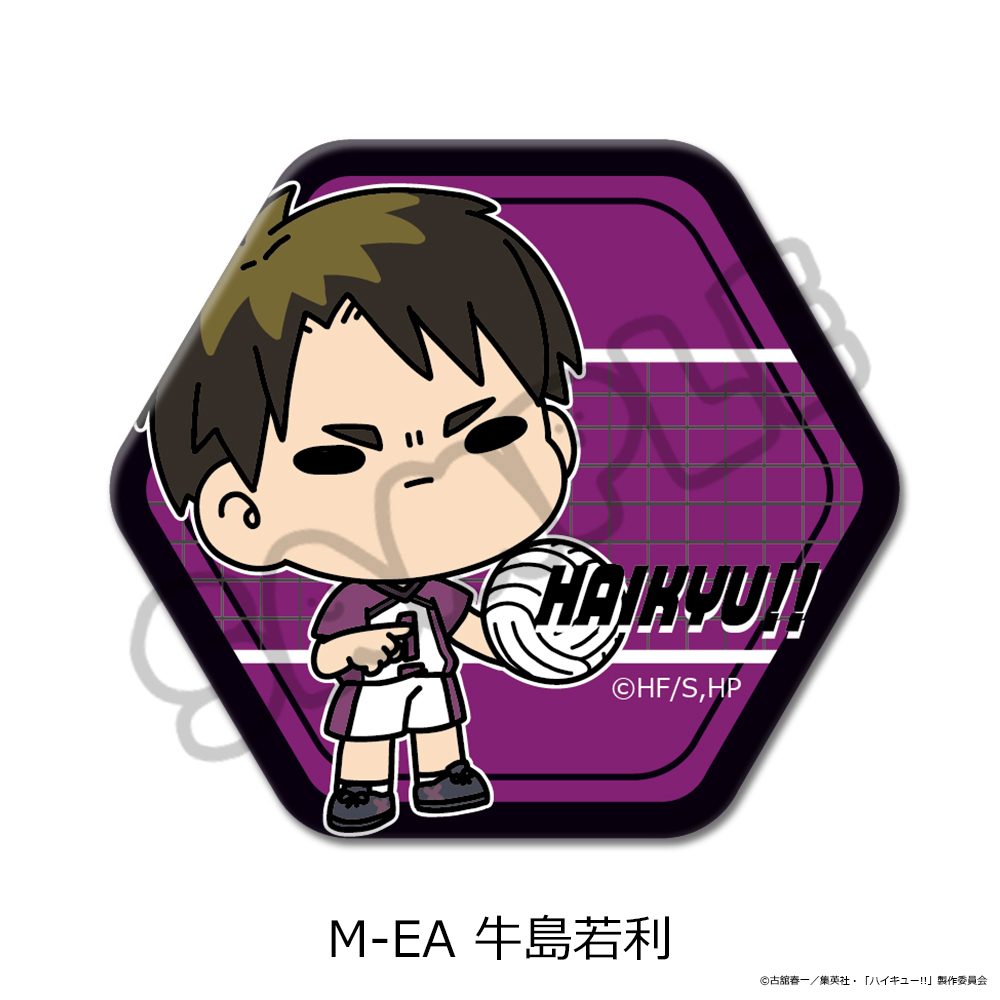 ハイキュー!! 第11弾 六角形缶バッジ(mochocho) M-EA 牛島若利 ("Haikyu!!" Vol. 11 Hexagonal Can Badge (mochocho) M-EA Ushijima Wakatoshi)