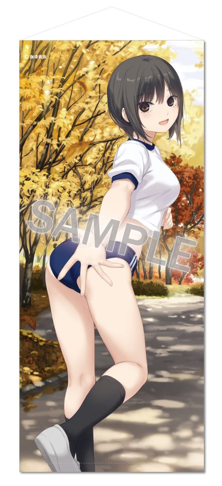 珈琲貴族 特殊サイズタペストリー Lovely day-Take a walkブルマ青山さん- (Coffee Kizoku Special Size Tapestry Lovely Day -Take a Walk Bloomers Aoyama-san-)