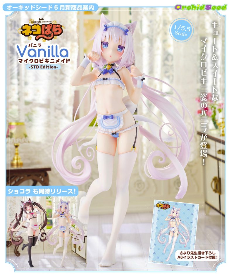 ネコぱら バニラ マイクロビキニメイド-STD Edition- ("Nekopara" Vanilla Micro Bikini Maid -STD Edition-)