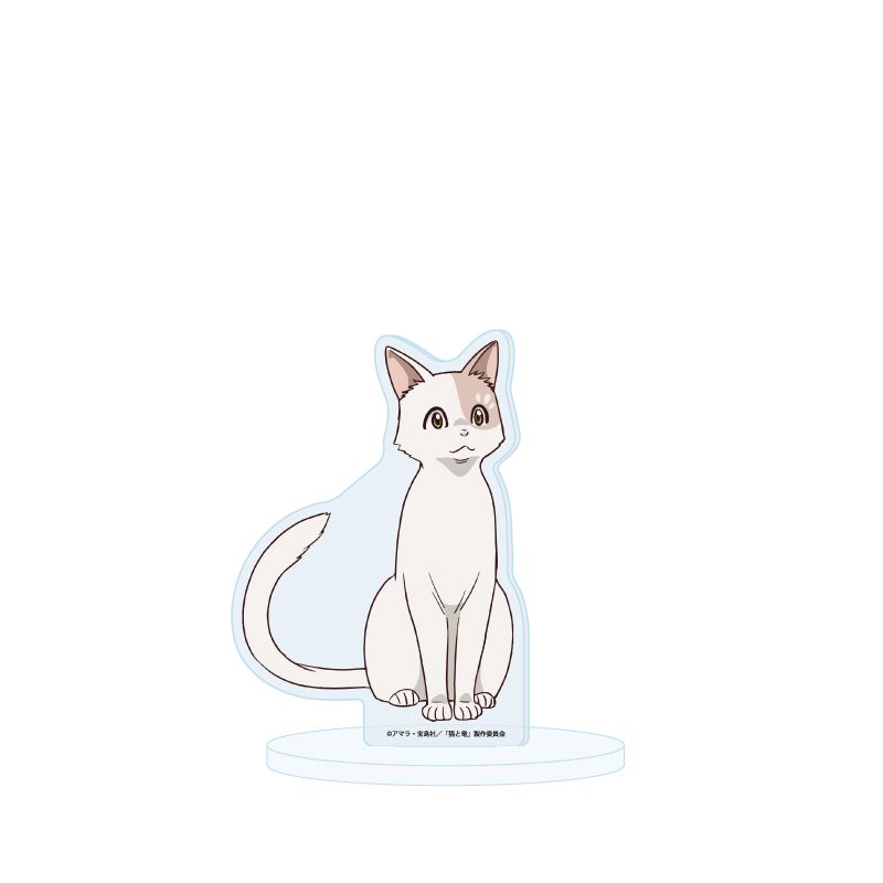 アクリルスタンド 猫と竜 03 シロタエ(公式イラスト) (Acrylic Stand "The Cat and the Dragon" 03 Shirotae (Official Illustration))