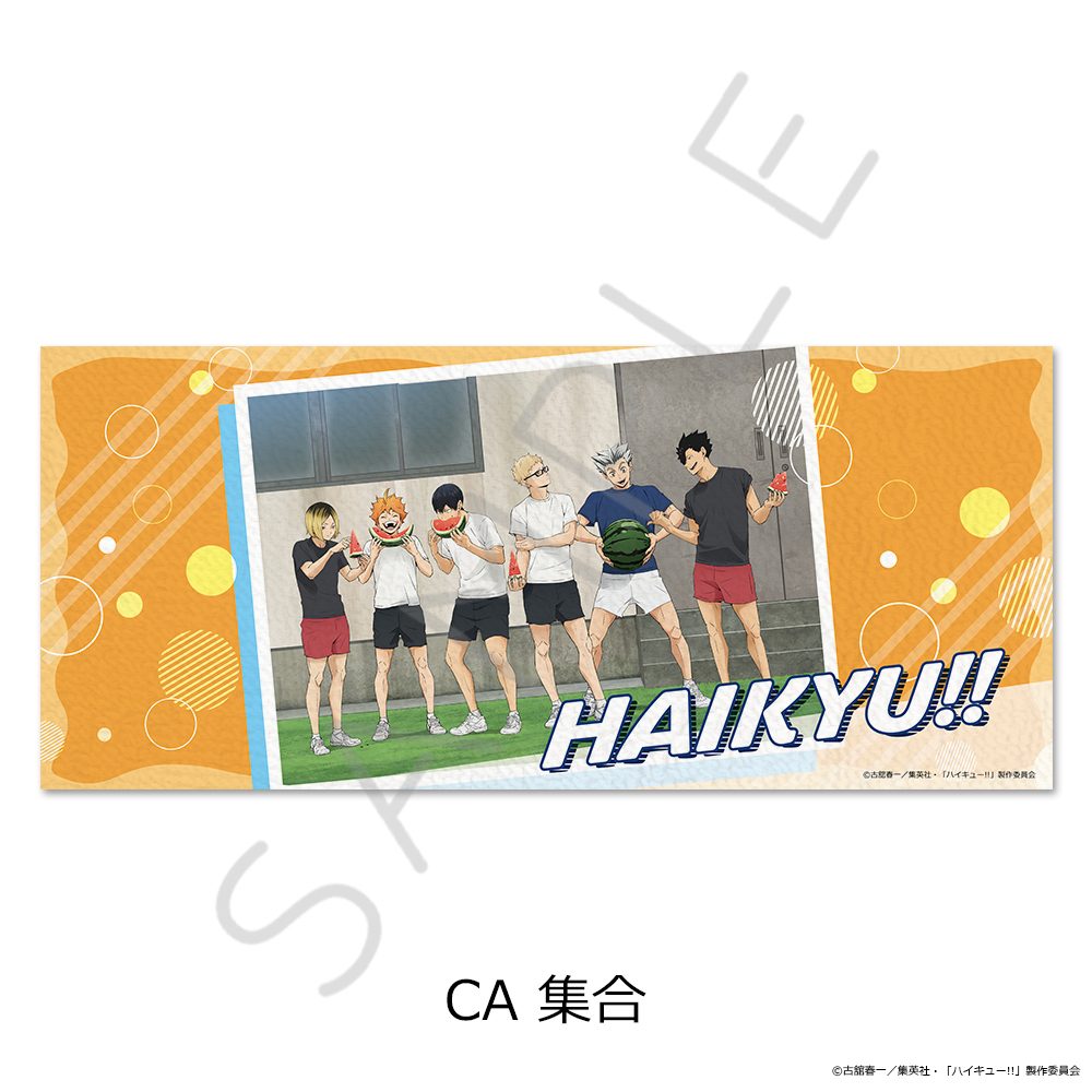 ハイキュー!! 第13弾 フェイスタオル CA 集合 ("Haikyu!!" Vol. 13 Face Towel CA Group)