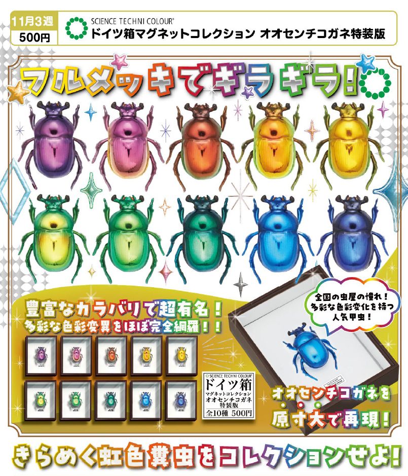 500円カプセル サイエンステクニカラー ドイツ箱マグネットコレクション オオセンチコガネ特装版 (Science Techni Colour German Box Magnet Collection Phelotrupes Auratus Special Edition)