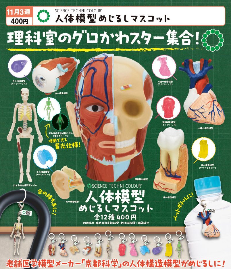 400円カプセル サイエンステクニカラー 人体模型めじるしマスコット (Science Techni Colour Human Body Model Mark Mascot)