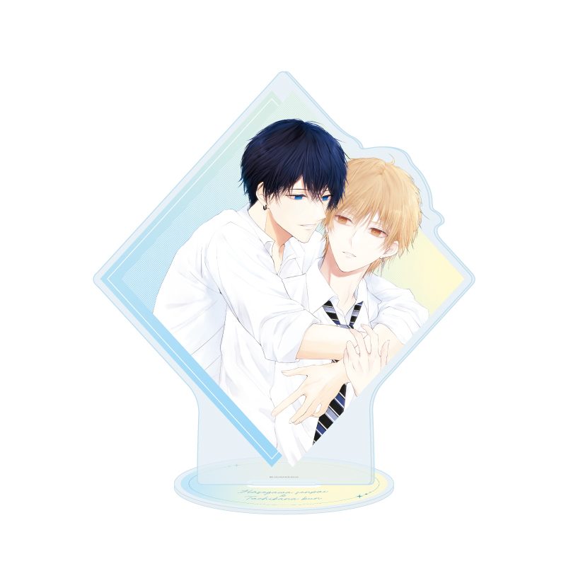 アクリルスタンド 長谷川先輩と橘くん 02 長谷川凉久&橘昂B(公式イラスト) (Acrylic Stand "Hasegawa Senpai & Tachibana Kun" 02 Hasegawa Riku & Tachibana Kou B (Official Illustration))