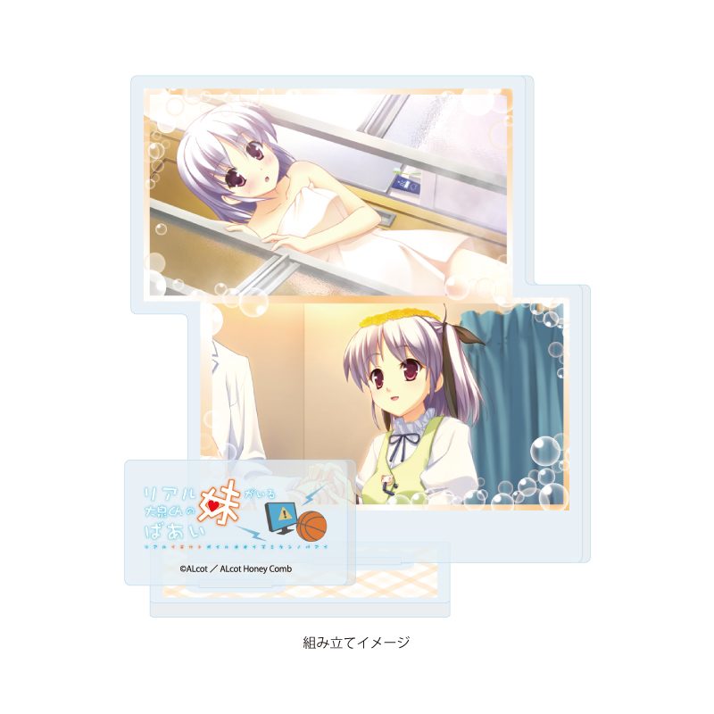 アクリルスタンドプレート ALcot/ALcotハニカムシリーズ 08 リアル妹がいる大泉くんのばあい A(公式イラスト) (Acrylic Stand Plate ALcot/ALcot Honey Comb Series 08 Real Imouto ga Iru Ooizumi-kun no Baai A (Official Illustration))