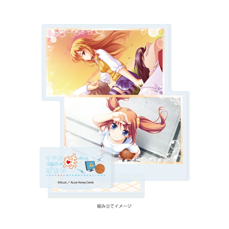 アクリルスタンドプレート ALcot/ALcotハニカムシリーズ 09 リアル妹がいる大泉くんのばあい B(公式イラスト) (Acrylic Stand Plate ALcot/ALcot Honey Comb Series 09 Real Imouto ga Iru Ooizumi-kun no Baai B (Official Illustration))