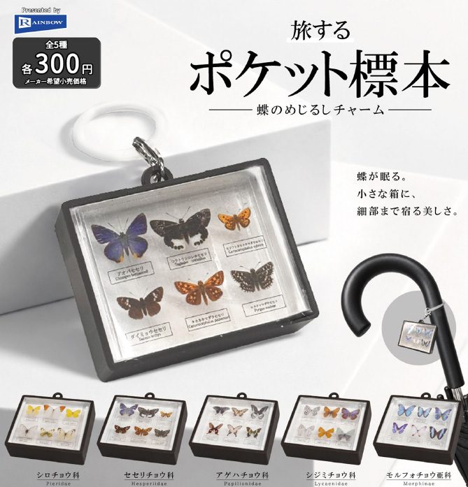 300円カプセル 旅するポケット標本 蝶のめじるしチャーム (Traveling Pocket Specimen Butterfly Mark Charm)