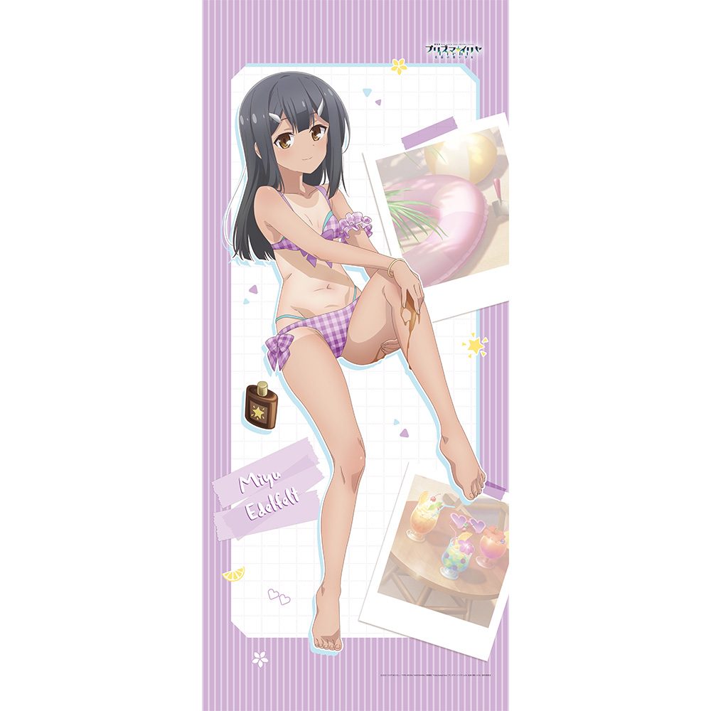 劇場版Fate/kaleid liner プリズマ☆イリヤ Licht 名前の無い少女 描き下ろし特大タペストリー 美遊/日焼け ("Fate/kaleid liner Prisma Illya: Licht - The Nameless Girl" Original Illustration Extra Large Tapestry Miyu / Sunburn)