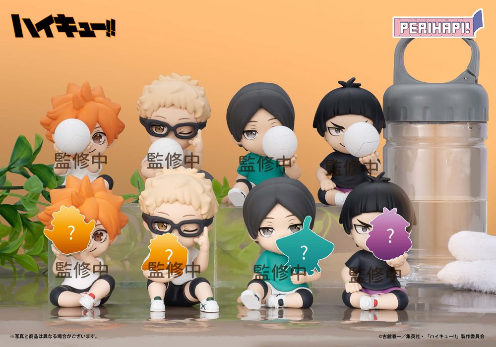 PERIHAPI! Hide&Seekかくれんぼ ハイキュー!! 疑似ユース (PERIHAPI! Hide & Seek "Haikyu!!" Pseudo Youth)