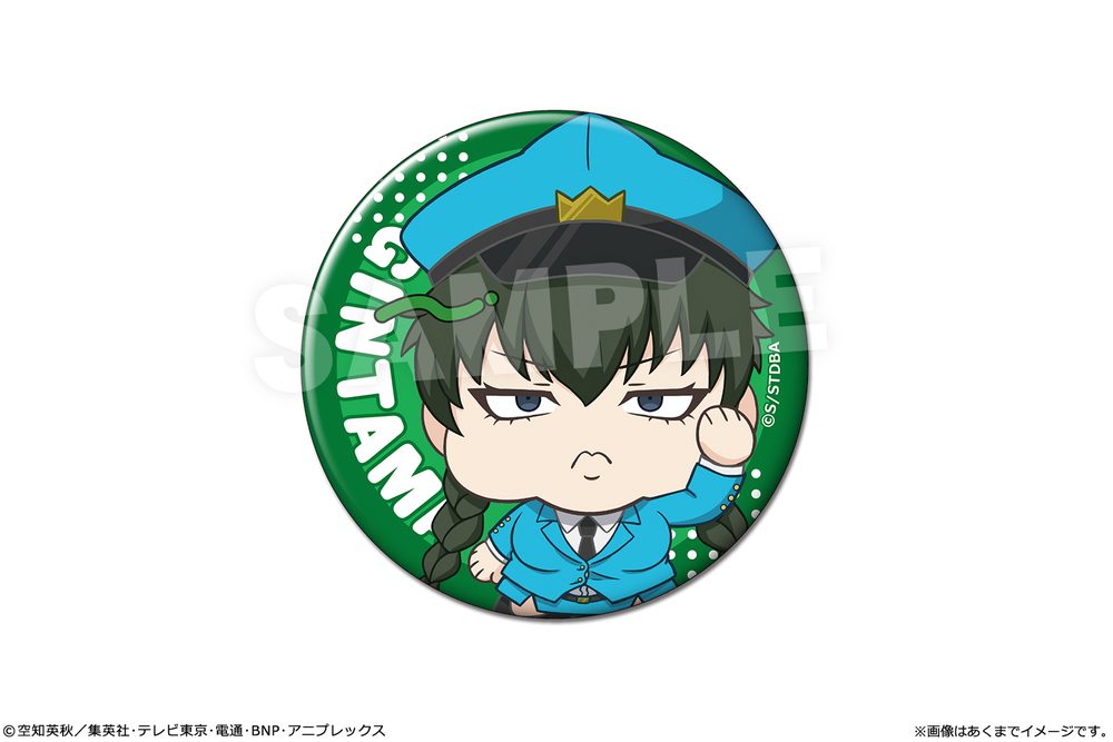 銀魂 マット缶バッジ Ver.性別逆転篇 04 土方X子 ("Gintama" Matte Can Badge Ver. Dekobokko Arc 04 Hijikata Tenko)