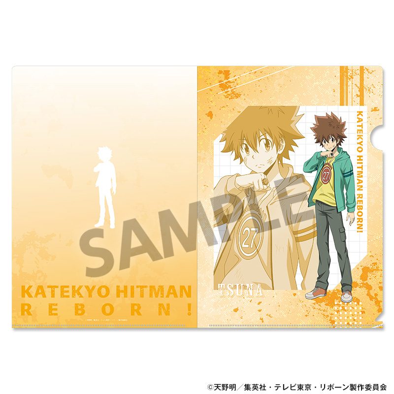 家庭教師ヒットマンREBORN! 描き下ろしクリアファイル 沢田綱吉 ("Reborn!" Original Illustration Clear File Sawada Tsunayoshi)