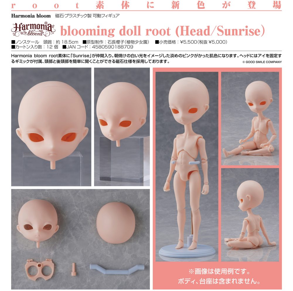 Harmonia bloom blooming doll root (Head/Sunrise) (Harmonia bloom blooming doll root (Head / Sunrise))